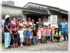 保育園児のサツマ芋苗植え（6/2)