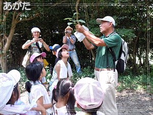 岡山の自然観察会（７/16）