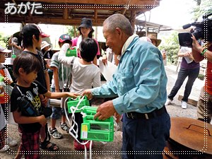 岡山産のカブトムシをもらいました