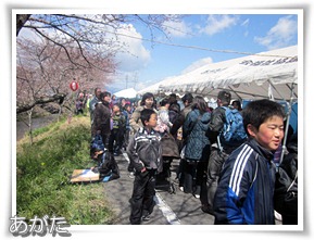 桜まつり開催！