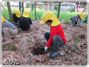 一生懸命掘ります