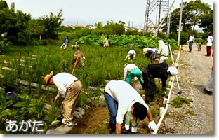 けんけんぱぁーく・グリーンパーク岡山一斉清掃（7/7）
