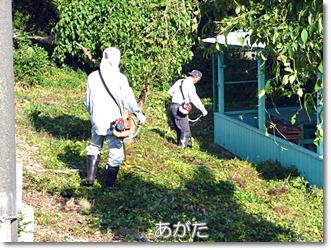 けんけんぱぁーく