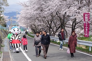 こにゅうどうくんと歩く桜並木