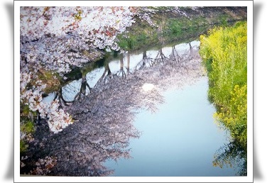 写真コンテストの入選作品