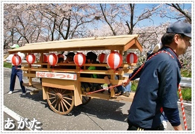 花見車から見る桜並木。 引き手の皆さん、お疲れ様でした。