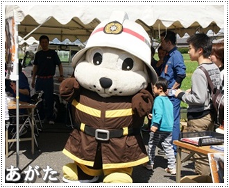 ラブちゃんも参加