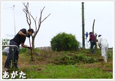 けんけんパーク