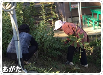 けんけんパーク