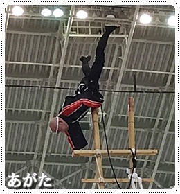 華麗なるはしご登り