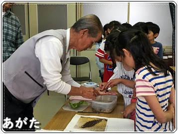 興味深げに観察