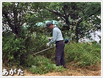けんけんぱぁーく・グリーンパーク岡山一斉清掃の様子