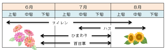 花の見ごろ時期 花の見ごろ時期