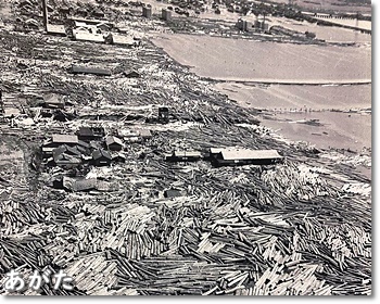 伊勢湾台風から６３年 当時の流木被害の惨状！