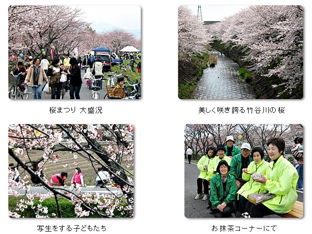 2010-sakura