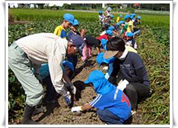 みんなでいも掘りをしました