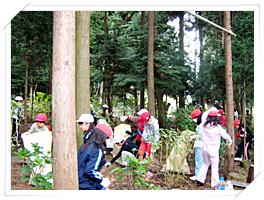 みんなで里山をきれいにしました！
