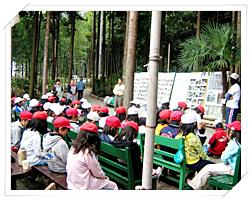 ふれあいの森で里山について学習しました！